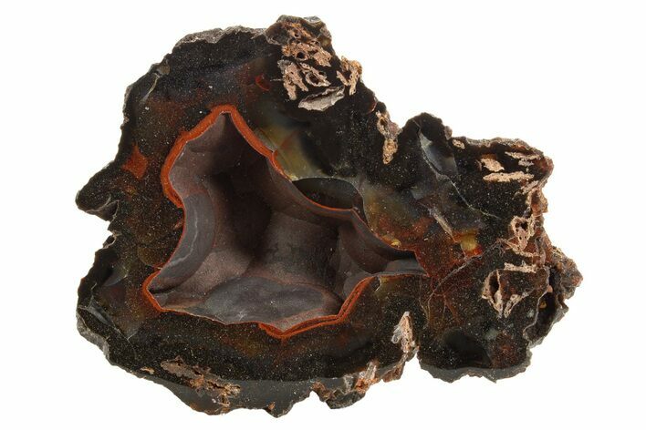 Polished Patagonia Crater Agate - Fluorescent! #314699